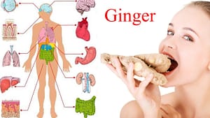 Benefits of using Ginger for Digestion