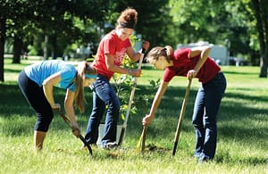 Three Girl Are Doing Planting Trees