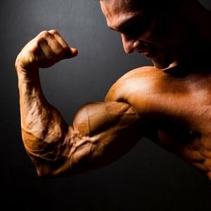 Men Muscle Strength